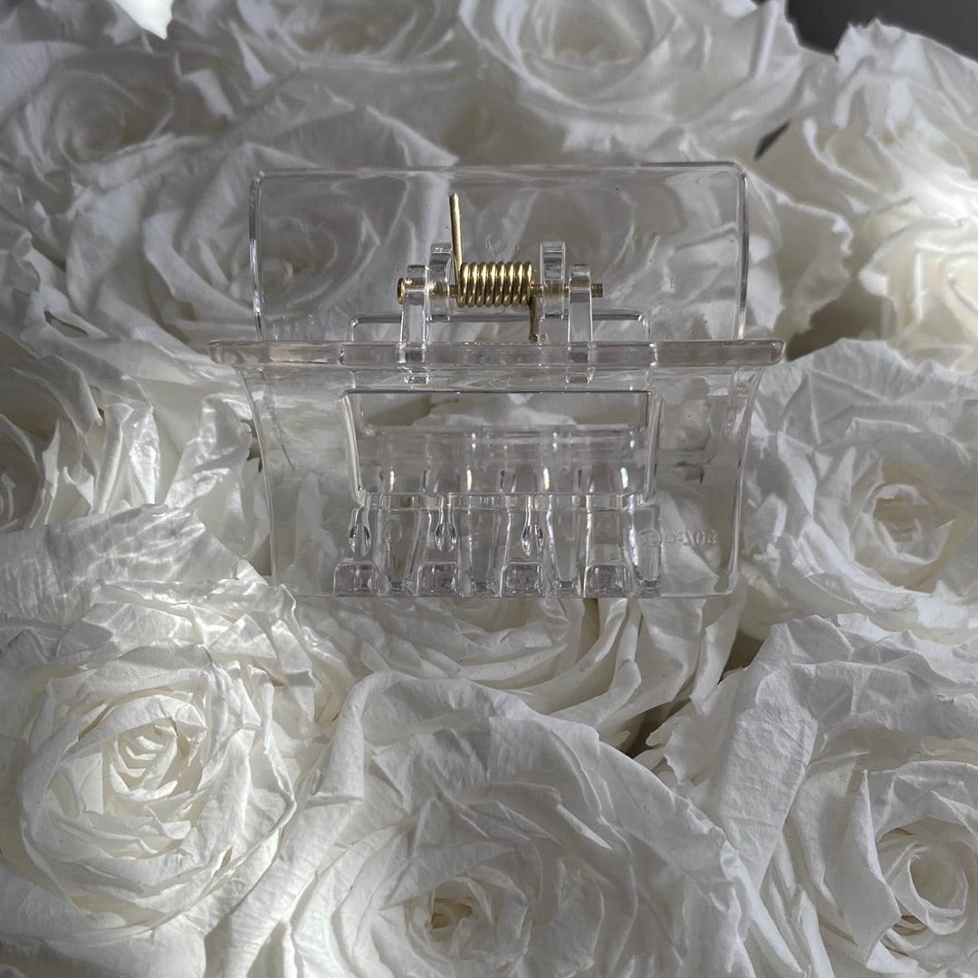 Clear Hair Claw Accessorie - Life with JessicaS