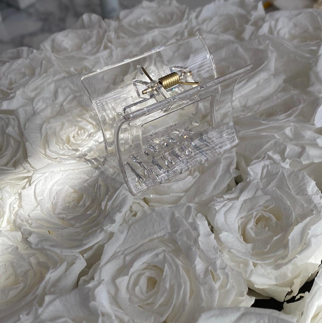 Clear Hair Claw Accessorie - Life with JessicaS