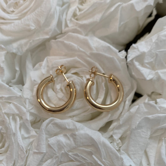 Gold Hoop Earrings